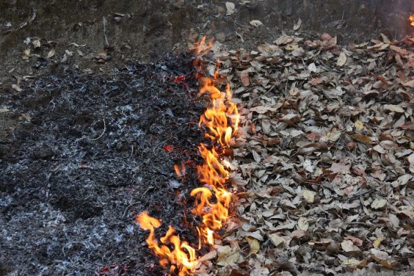 fire_line2