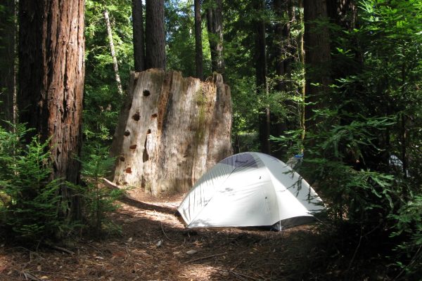 greyback_tent_navarro2