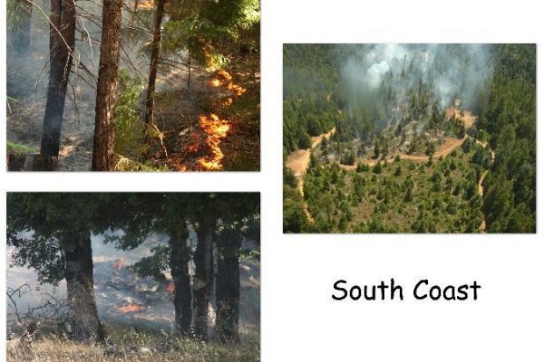 south_coast_layout_a